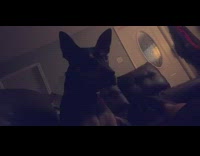 Guy asks dog piper questions couch television 