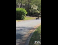 Collab KaleSaladIG - Two People Skateboard Ride