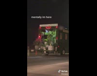 Green bus filled with plants on freeway 