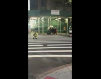 Girl jumps on crosswalk for photo 