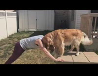 golden retriever watching owner work out and hugging her