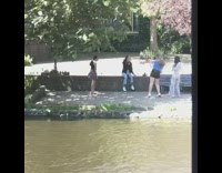 Girls tiktok dance brown river pink tree