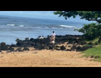 Collab IITW - Man and Woman takes picture of two white dogs on the rock