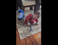 Little baby playing with vacuum on rug 
