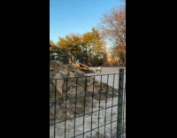 Woman tiktok dance in front of backhoe