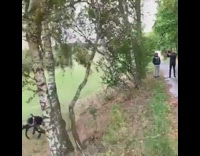 Guy rides green bicycle up ramp street