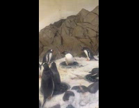 Penguin Protects Pebbles from Other Penguins Left and Right