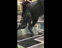 Girl climbs horse statue falls in water