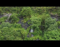 Drone shot waterfalls covered by trees mountain
