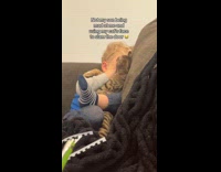 Boy covers his face with the cat