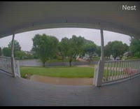 Wild fox delivers mail at the front yard porch