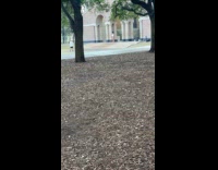 Woman brown head scarf films at park