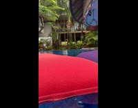 Tiny frog on red pillow in pool
