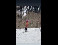 Woman in Pink Bikini Poses with Skis in Snow 