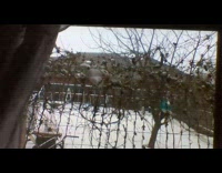 Snow on the garden outside the window