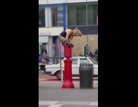 Guy Dressed in Rat Costume Squats on Street Barriers 