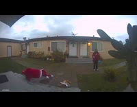 Man slip on step and drop food