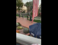 old men take pictures of two women