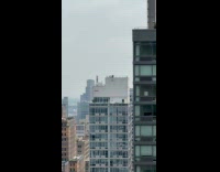 Guy use ladder to chase away pigeons