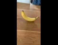 Banana rocks back and forth like boat 