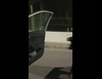 Woman twerk dance music cat stare shocked