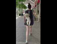 Woman wears white dog like backpack 