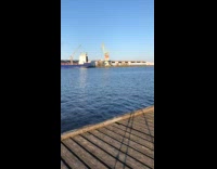 Man tries doing backflip hits the dock