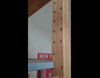 Bookshelf holes with bug eggs inside it