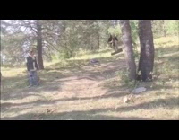 Guy backflips from tree swing fail 