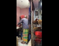 Chickens watch butcher strip off chicken skin