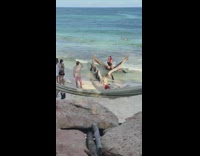 Black bathing suit girl branch ocean water 