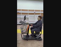 Michael Myers rides mobility scooter inside store