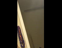 Tortilla frisbee toss hits woman