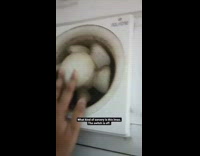 White exhaust fan spins switch is off