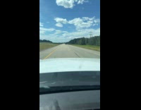 Truck carry trees covered with green cloth wagging