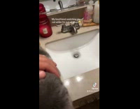 Collab Clips MPUGC2 - Man cat sitting for girlfriend 