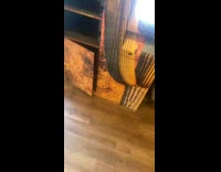 Electronic lockers all open one by one girl freaks out 