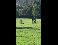 Loud twins shout and backflip park friday