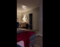 Collab Clips MPUGC - Dog comes out from hiding after fireworks 