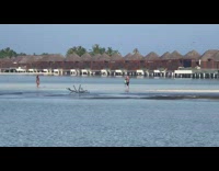 Girl in shallow beach waters throws water up and walks