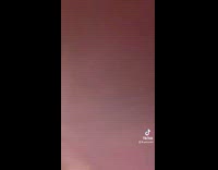 Collab BitchMP - Pet pig lunges at guy on floor 