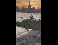 Photographer moves air mattress near water 