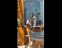 Woman animal print dress resort video shoot