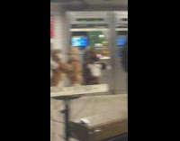 Man plays Despacito on saxophone with animals 