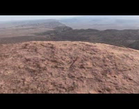 Small branch of tree thrown and goes the other way