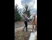 Collab Clips MPUGC - Horse startled and run after woman sneezes