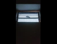 Sparrow bird pecking the ventilation window glass