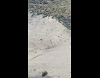 Girl roll down sand dunes multiple times