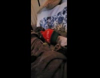 Dog with sweater lay on back on sofa