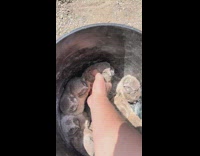 Picking up birds into tunnel 